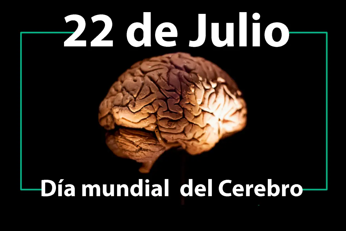22 de julio Día Mundial del Cerebro: ¿Cómo mantener un cerebro saludable y  activo? | Jujuy al día®